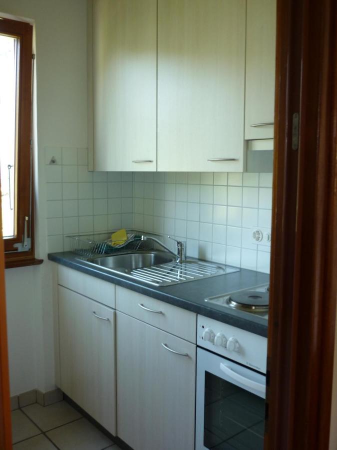 Casa Petra Διαμέρισμα Gambarogno Εξωτερικό φωτογραφία