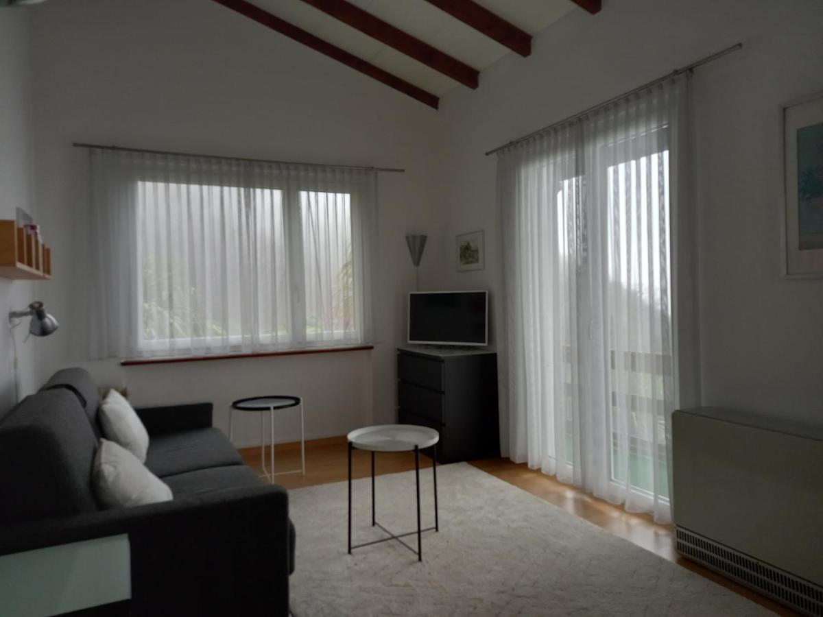 Casa Petra Διαμέρισμα Gambarogno Εξωτερικό φωτογραφία